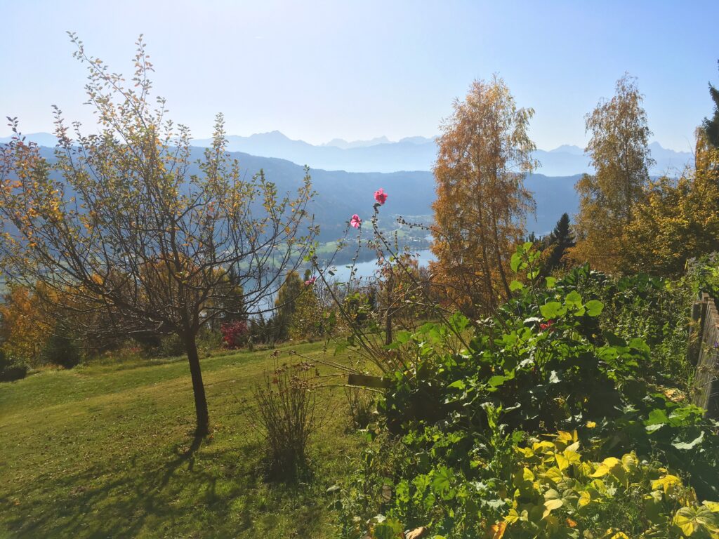 AusblickGemüsegarten